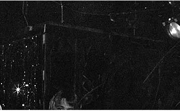 Bag of Wire Live at the Hot Klub, Dallas, Texas